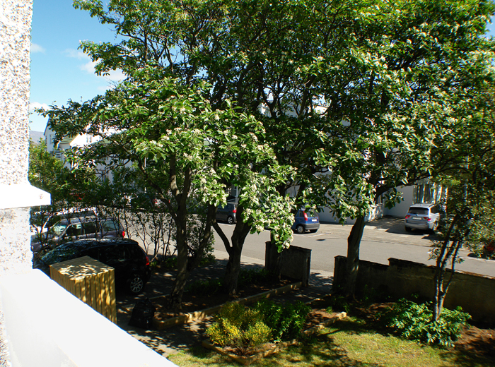 Reykjavik Apartments